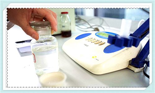 火棘乳酸菌飲料配方技術(shù)研發(fā)與咨詢(xún)服務(wù)