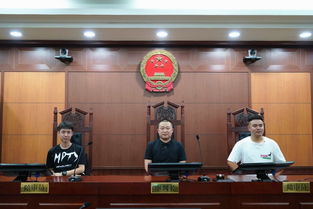 司法公開新窗口 第111次公眾開放日，青島聯信商務咨詢哈爾濱分公司走進南崗區法院